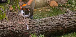 Best Lawn Irrigation Installation and Maintenance  in Eaton, OH